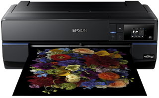 Immagine di EPSON STAMPANTE SC-P800