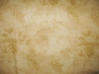 Immagine di FONDO BEIGE MACULATO 3X6 MT.