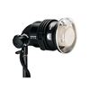 Immagine di TORCIA PROFOTO PRO-HEAD   2400W