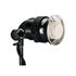 Immagine di PROFOTO TORCIA  PRO-HEAD   2400W