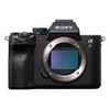 Immagine di SONY A7 R  MARK V KIT